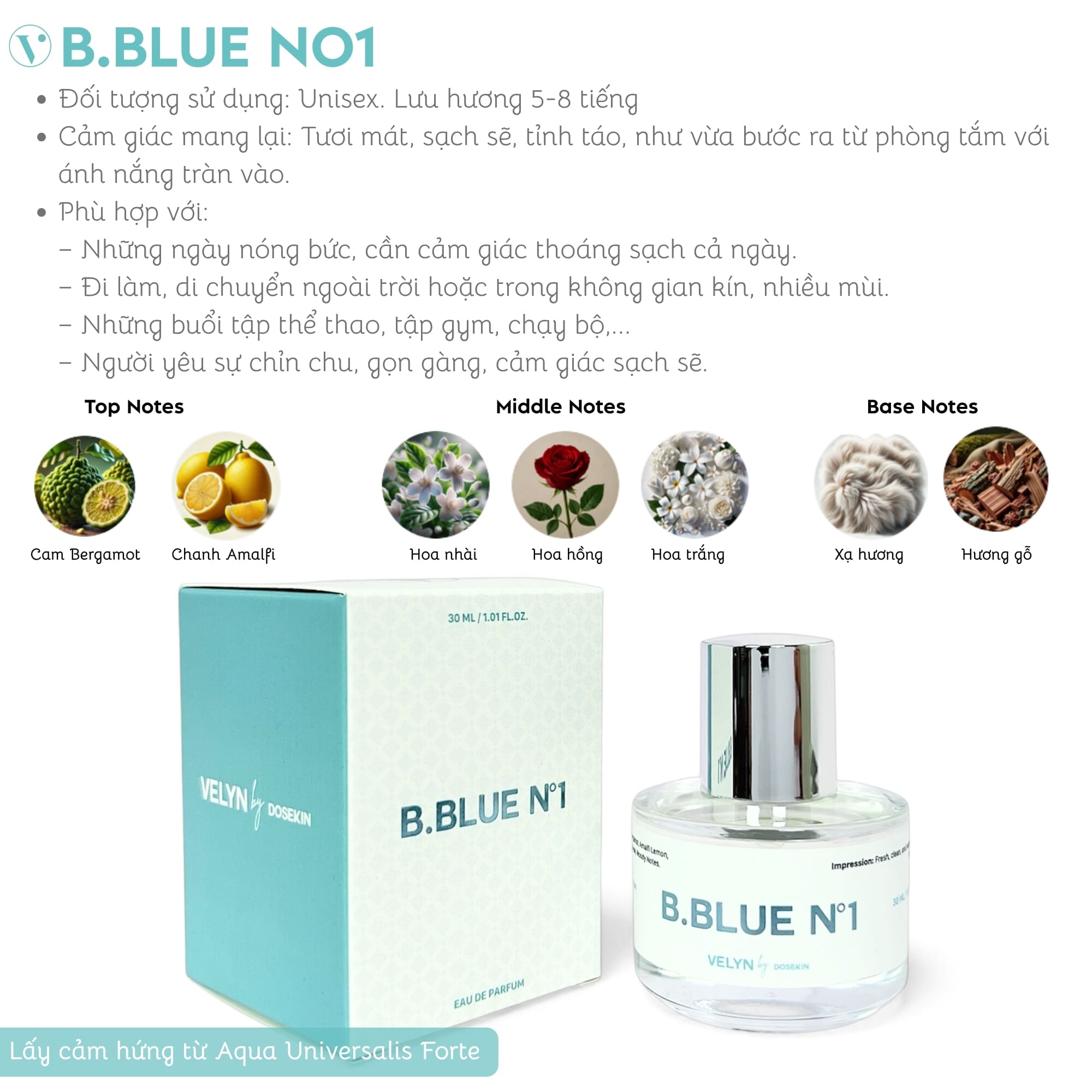 B.BLUE NO1 / Nước Hoa Nữ Cao Cấp VELYN by DOSEKIN Eau De Parfum Chính Hãng - Ảnh 2
