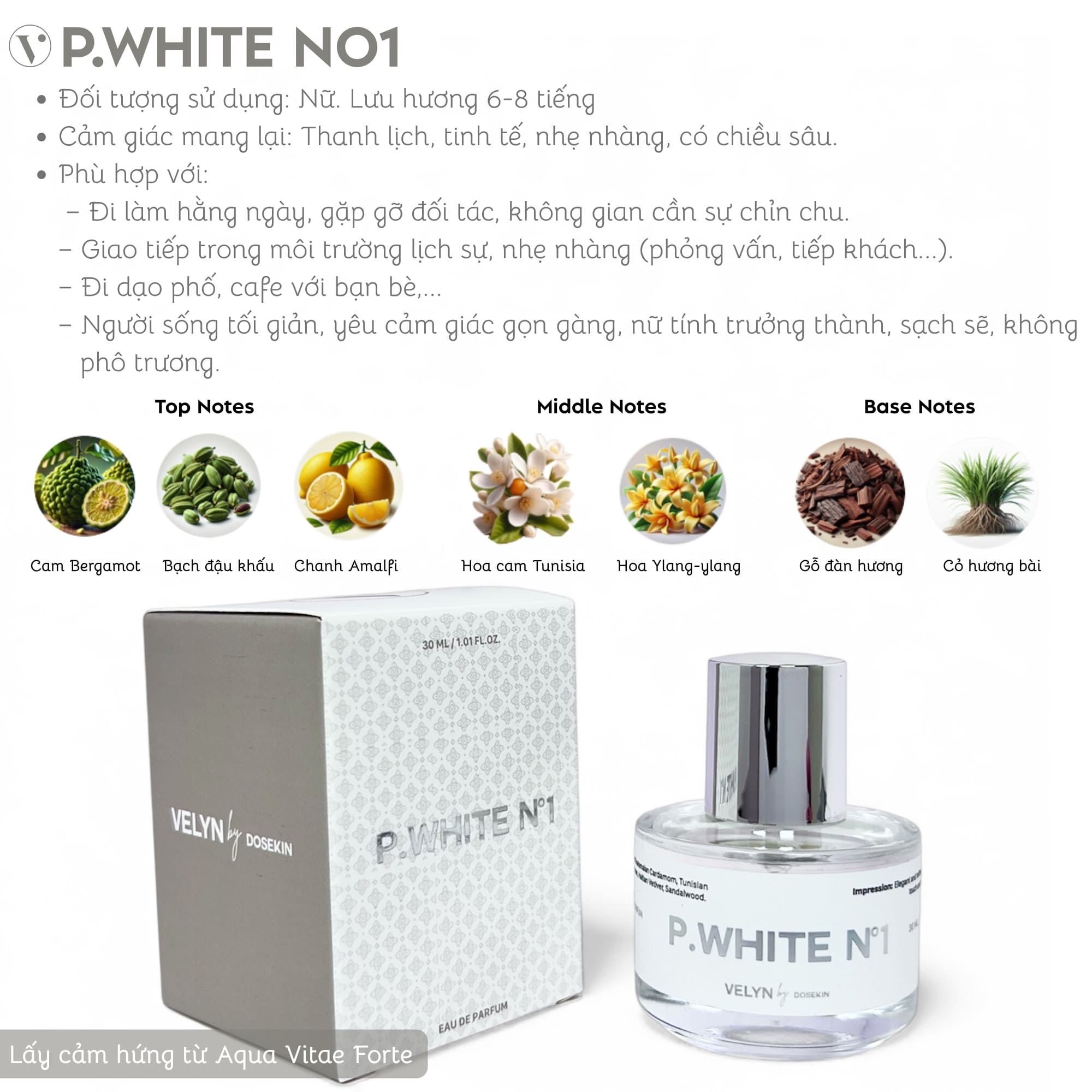 P.WHITE NO1 / Nước Hoa Nữ Cao Cấp VELYN by DOSEKIN Eau De Parfum Chính Hãng - Ảnh 2